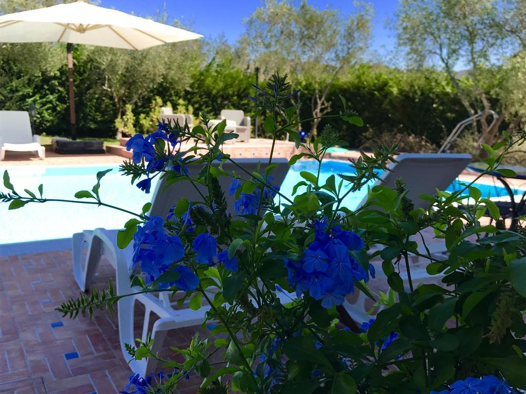 Casa Vacanze Il Cenito Castellabate Ngoại thất bức ảnh