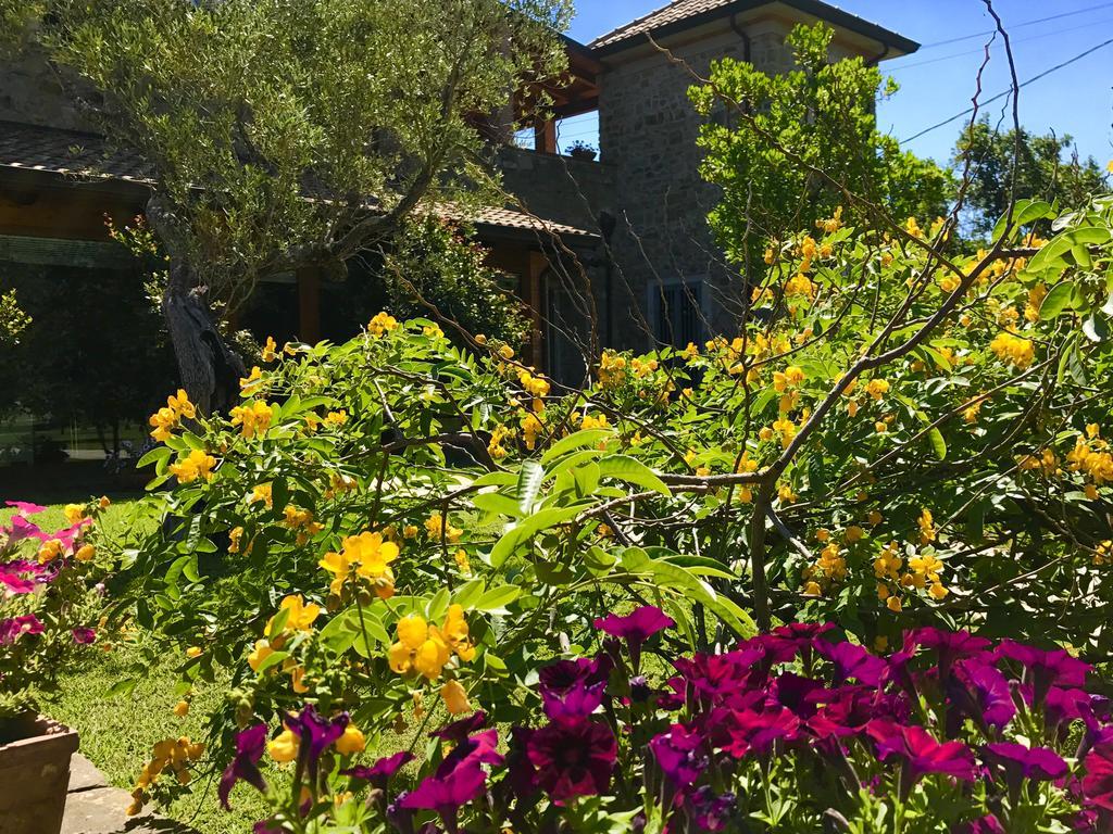 Casa Vacanze Il Cenito Castellabate Ngoại thất bức ảnh